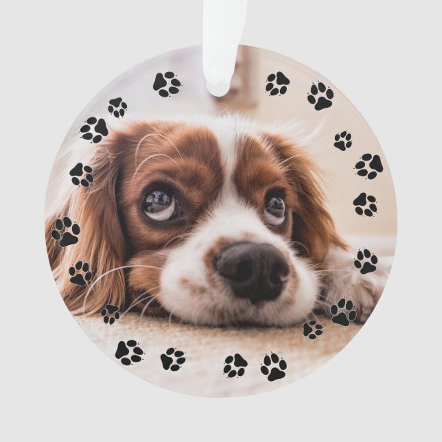 Puppy Foto Pawprints Ornament (Vorderseite)