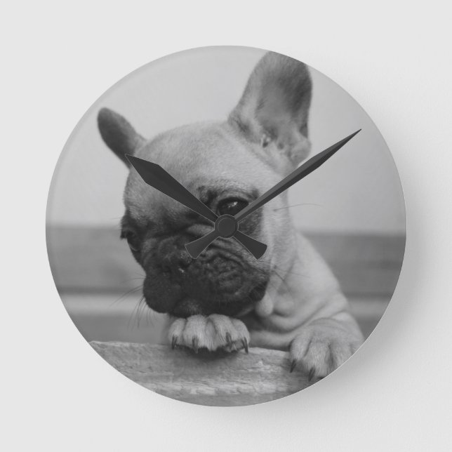 Puppy Frenchie Runde Wanduhr (Vorderseite)