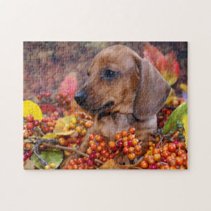 Puppy im Herbst Dackel Puzzle