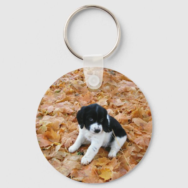 Puppy im Herbst Schlüsselanhänger (Vorderseite)