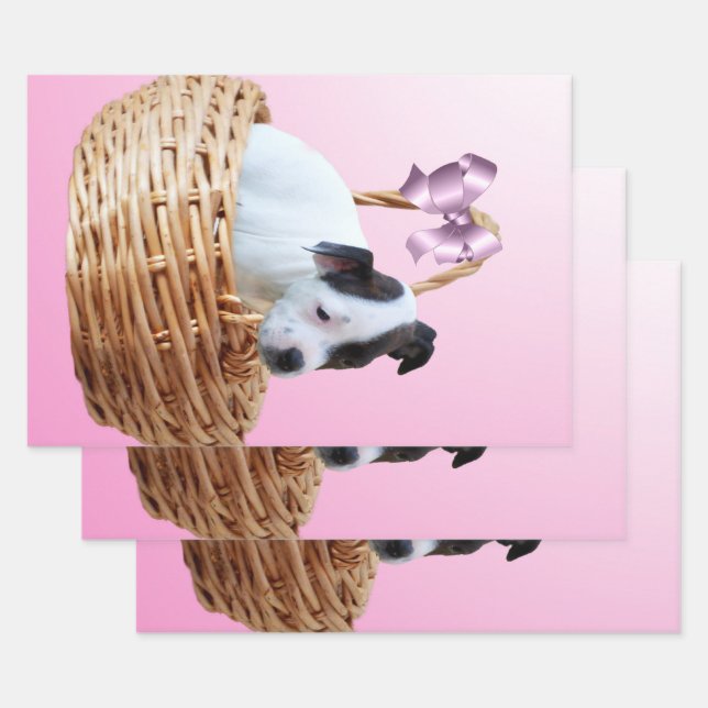 Puppy in einem Korb, Geschenkpapier Set (Set)