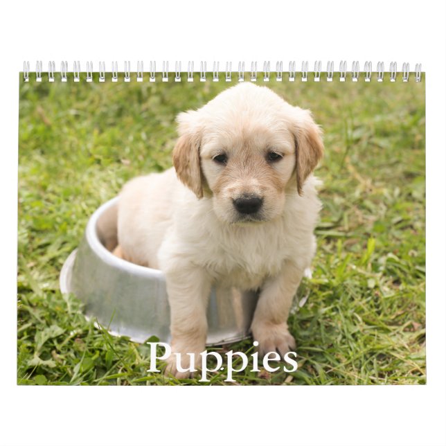 Puppy-Kalender Kalender (Titelbild)