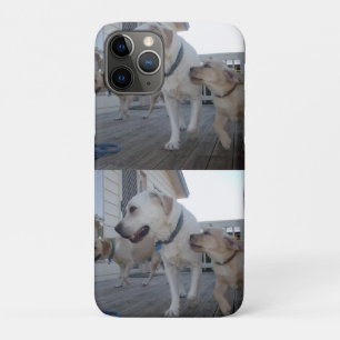 Puppy Kisses: Cream Color Labrador Family Liebe, Case-Mate iPhone Hülle