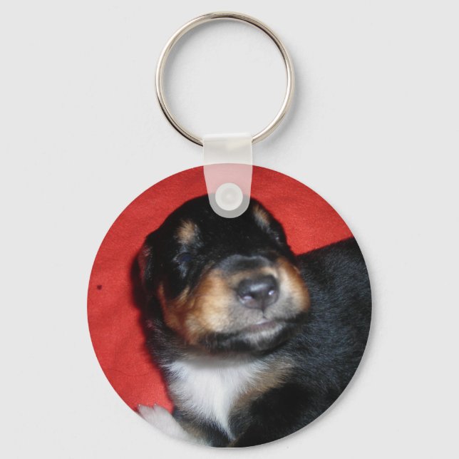 PUPPY LIEBE SCHLÜSSELANHÄNGER (Vorderseite)