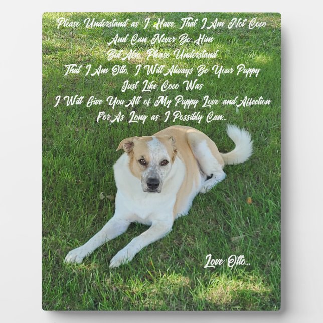 Puppy Love Fotoplatte (Vorderseite)