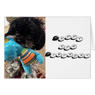 PUPPY MIT TOY SAGT, DASS SIE ZURÜCKGEHEN ****5****