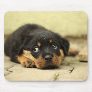 Puppy Mousepad