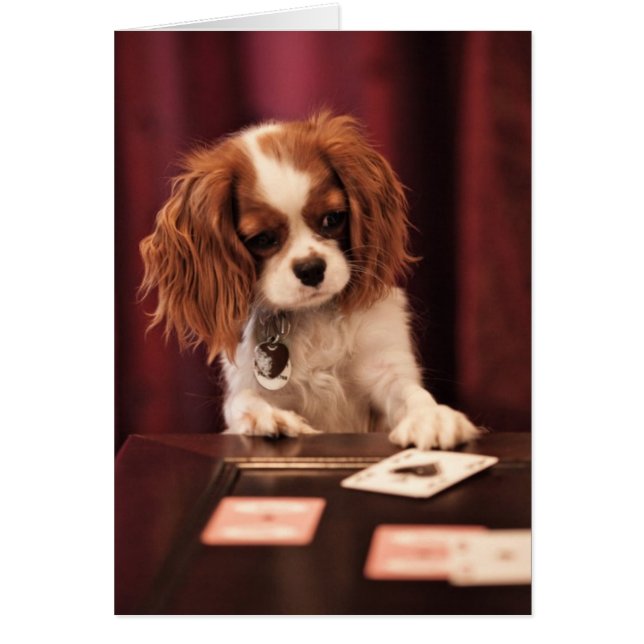 Puppy Plays Cards (Vorne)