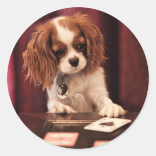Puppy Plays Cards Runder Aufkleber