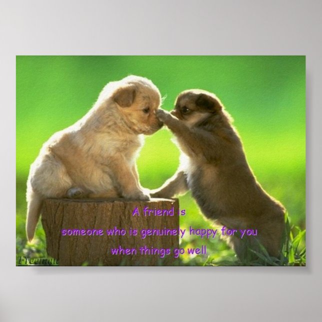 Puppy-Print Poster (Vorne)