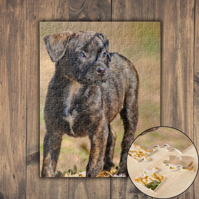 Puppy-Profil-Portrait Puzzle (Brindle Puppy Profile Portrait Jigsaw Puzzle)