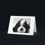 PUPPY SAGT "SAGEN SIE, ES IST NICHT SO", 30. BIRTH KARTE<br><div class="desc">PUPPY SAGT: "SAGEN SIE,  ES IST NICHT SO "30. BIRTHTAG"</div>