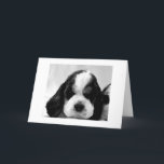 PUPPY SAGT "SAGEN SIE, ES IST NICHT SO", 30. BIRTH KARTE<br><div class="desc">PUPPY SAGT: "SAGEN SIE,  ES IST NICHT SO "30. BIRTHTAG"</div>