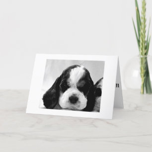 PUPPY SAGT: "SAGT, ES IST NICHT SO "ÜBER DEM HÜGEL KARTE