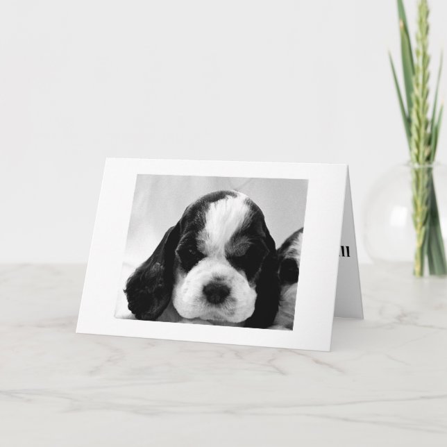 PUPPY SAGT: "SAGT, ES IST NICHT SO "ÜBER DEM HÜGEL KARTE (Vorderseite)