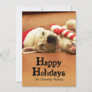 Puppy sleeps on sofa with christmas toys feiertagskarte