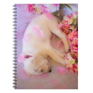Puppy Sleepy Veil 01 Notizblock