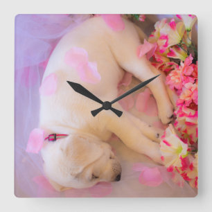 Puppy Sleepy Veil 01 Quadratische Wanduhr