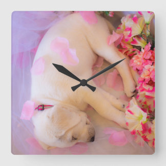 Puppy Sleepy Veil 01 Quadratische Wanduhr
