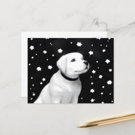 Puppy & Stars in Schwarz & Weiß Postkarte