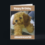 PUPPY WISHES for **GRANDDAUGHTER** GEBURTSTAGSKART Karte<br><div class="desc">VIELEN DANK,  DASS SIE VON EINER MEINER ACHT GESCHICHTEN GESCHAFFEN HABEN!!!</div>