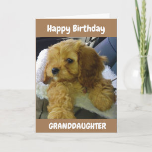 PUPPY WISHES for **GRANDDAUGHTER** GEBURTSTAGSKART Karte