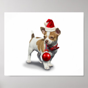 Puppy with christmas hat and Ball Poster