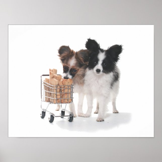 PUPS MIT KARTE POSTER (Vorne)