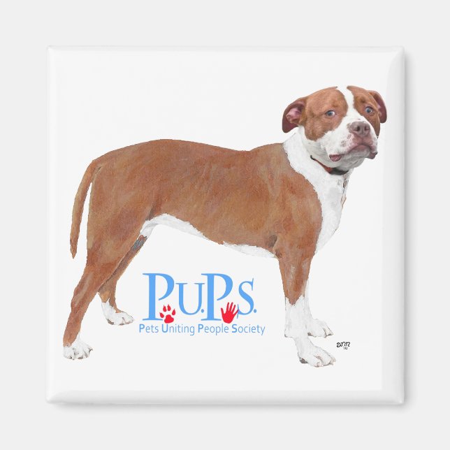 PUPs rettet Pit Bull Magnet (Vorne)