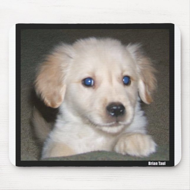 Pupy Augen Mousepad (Vorne)