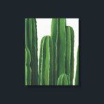 Pura Vida - Cacti-Gruppe Leinwanddruck<br><div class="desc">"Pura Vida II" von Grace Popp. Merkmale Kakteen in unterschiedlichen Höhen.</div>