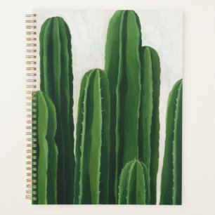 Pura Vida - Cacti-Gruppe Planer
