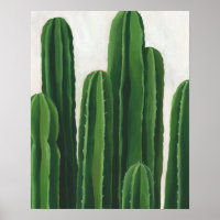 Pura Vida - Cacti-Gruppe