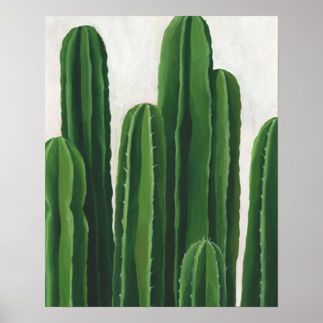 Pura Vida - Cacti-Gruppe Poster (Vorne)