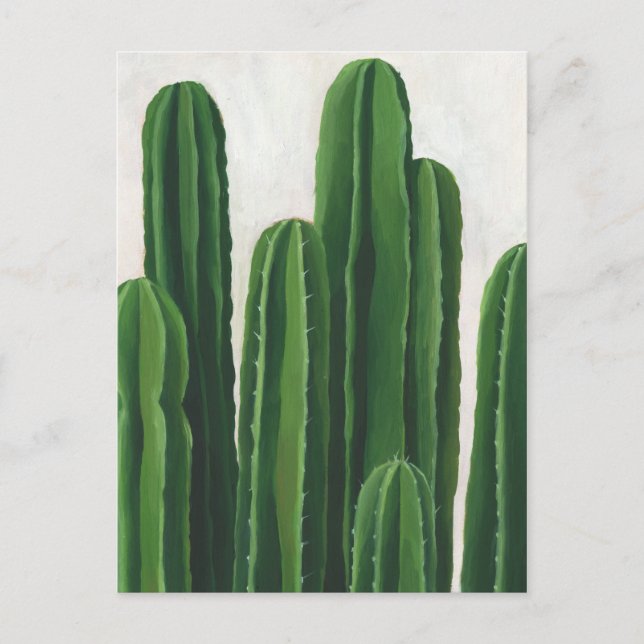 Pura Vida - Cacti-Gruppe Postkarte (Vorderseite)
