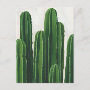 Pura Vida - Cacti-Gruppe Postkarte