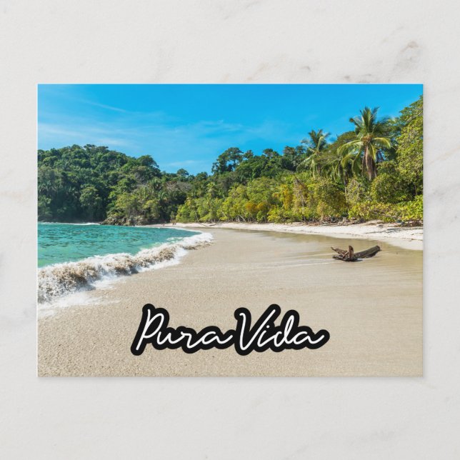 Pura Vida Costa Rica Beach Souvenir Postcard Postkarte (Vorderseite)