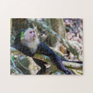 Pura Vida für Weißkopf-Kapuzineraffe Puzzle