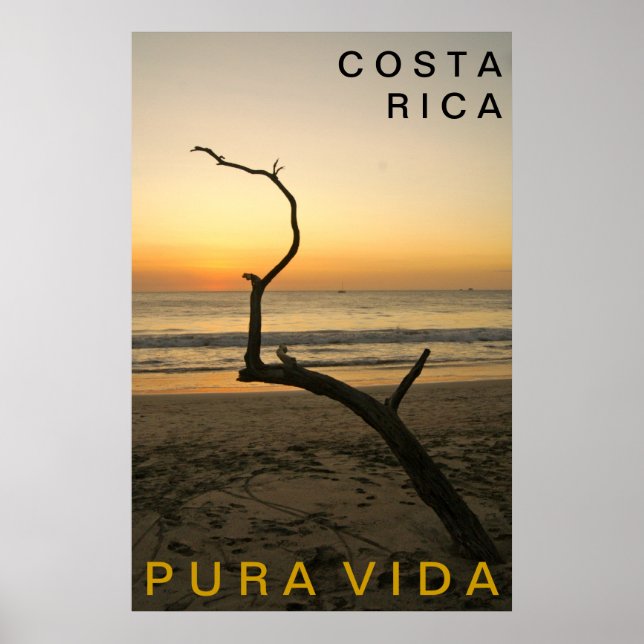 PURA VIDA Playa Flamingo Poster (Vorne)