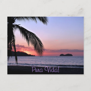 Pura Vida! Postkarte