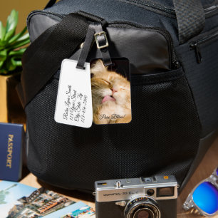 Pure Bliss   Coon-Nah-Up-Fotovorlage beibehalten Gepäckanhänger