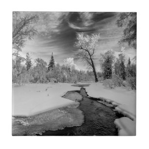 Pure Campbell Creek Fliese