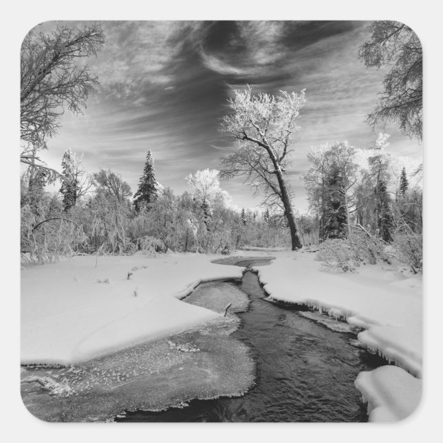 Pure Campbell Creek Quadratischer Aufkleber (Vorderseite)