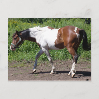 Pure Farbe Postkarte