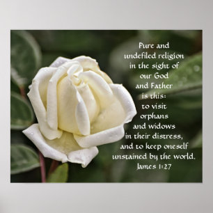 Pure White Rose Bible Scripte Poster