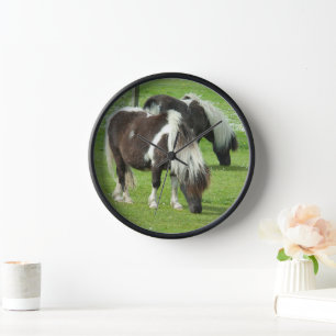 Purebred Shetland Paint Ponies Uhr