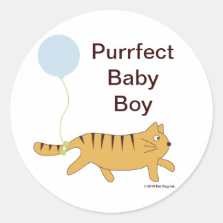 Purfect Baby Boy Stickers