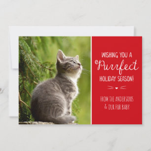 Purfect Cat Theme Holiday Foto Card Feiertagskarte