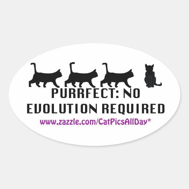 Purfect Evolution Promo-Aufkleber Ovaler Aufkleber (Vorderseite)
