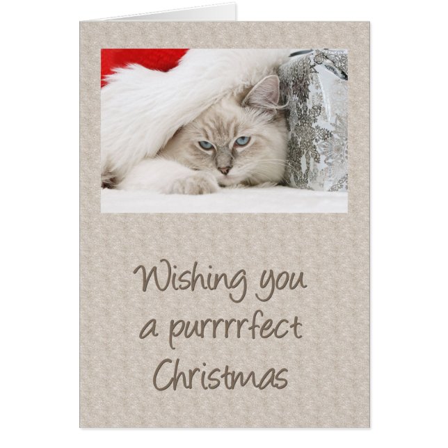 Purfect Kitty Christmas (Vorne)